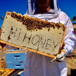 Apiary Tour & Honey Tasting