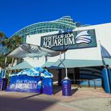 The Florida Aquarium