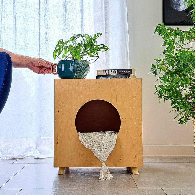 Cat litter box enclosure with litter box and spatula, Modern pet house, Wooden cat box, Plywood pet furniture, Mood for cats, Space for cats