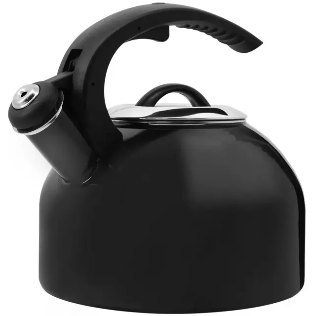 Our Table™ 2.5 qt. Enameled Tea Kettle in Black