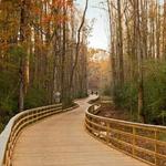 Big Creek Greenway