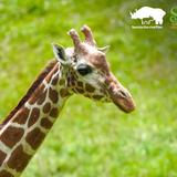 Binder Park Zoo