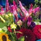 Bloomington Farmers Market