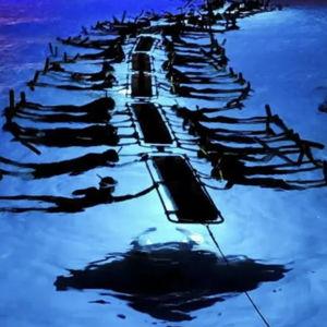 Snorkeling with Manta Rays on our Honeymoon