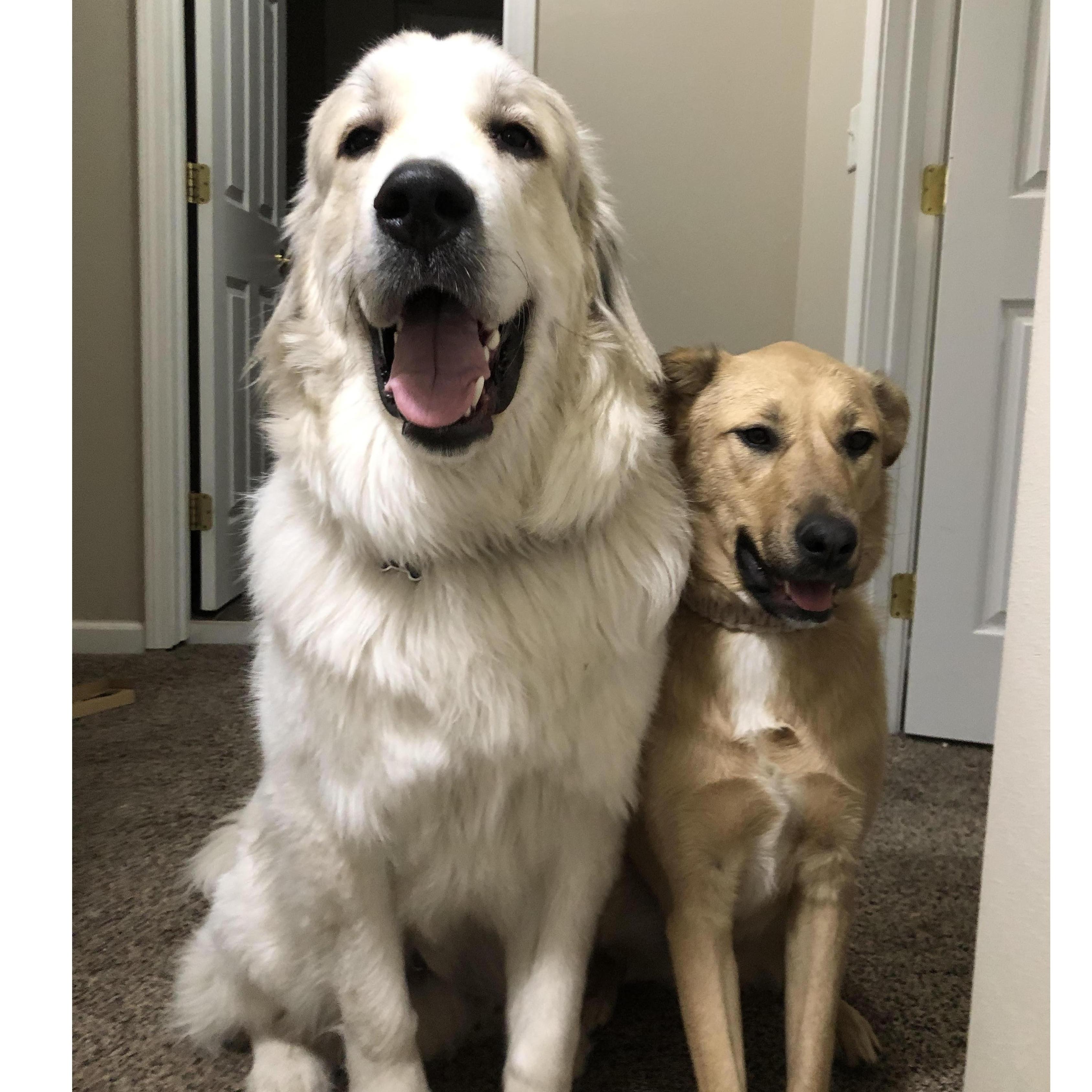 Toby and Mazie.