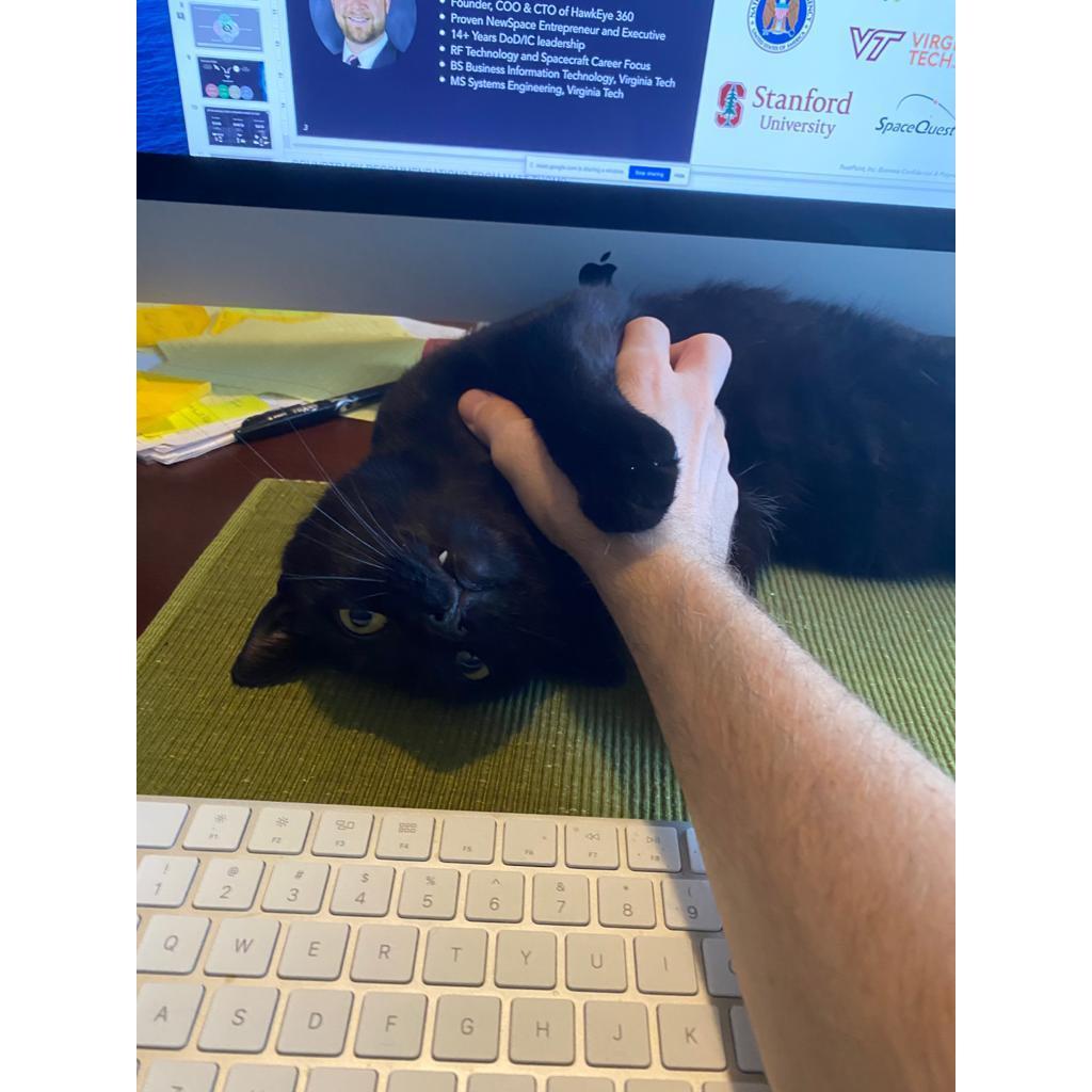 Pat's Chief Morale Officer