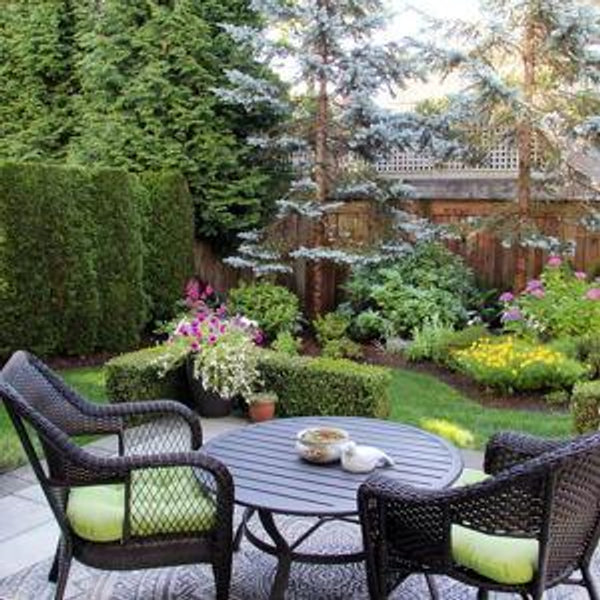 Backyard Renovation