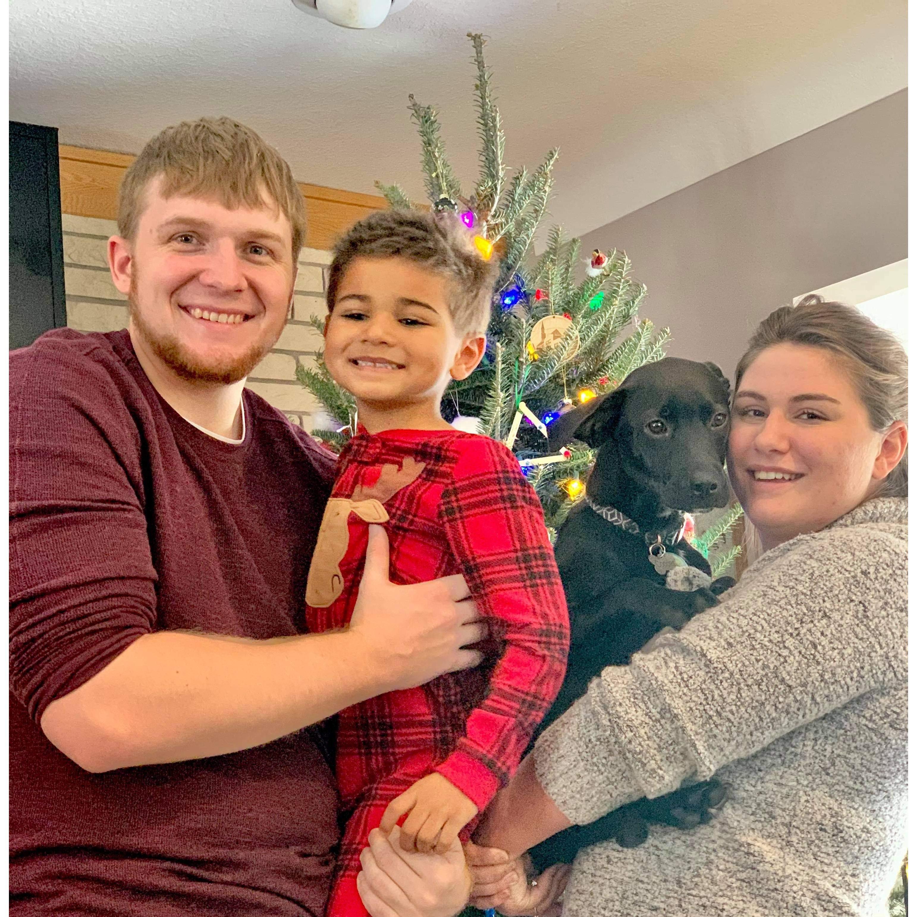 First dog together Cooper Christmas 2020!