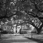 Historic Charleston - Boone Hall Plantation & Gardens
