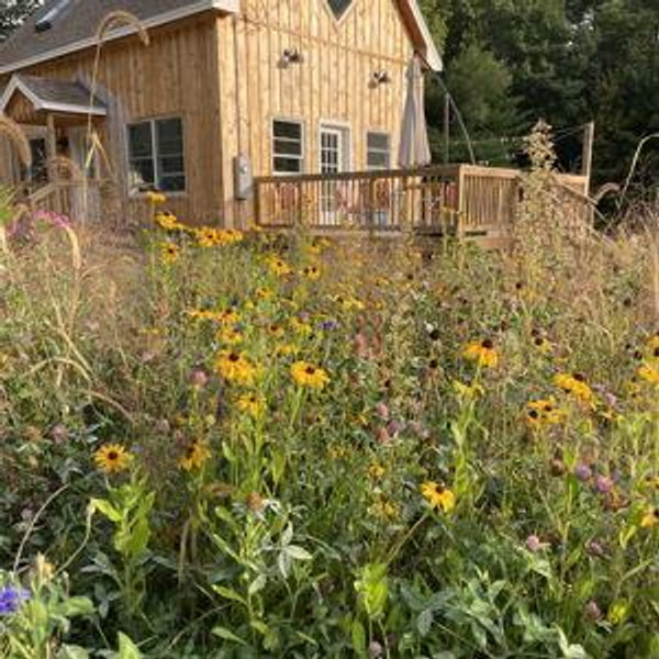 Our Homestead Vision