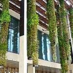 Pérez Art Museum Miami