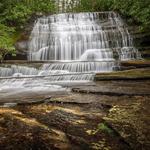 Pisgah National Forest