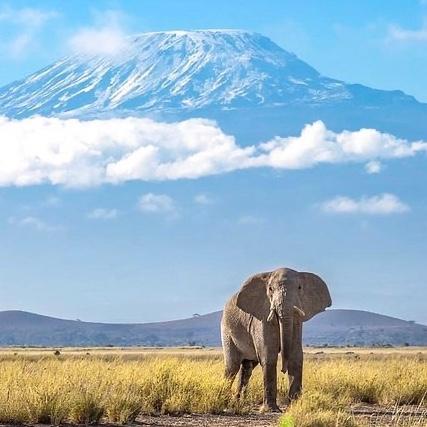 Backpacking Kilimanjaro