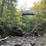 Wissahickon Valley Park