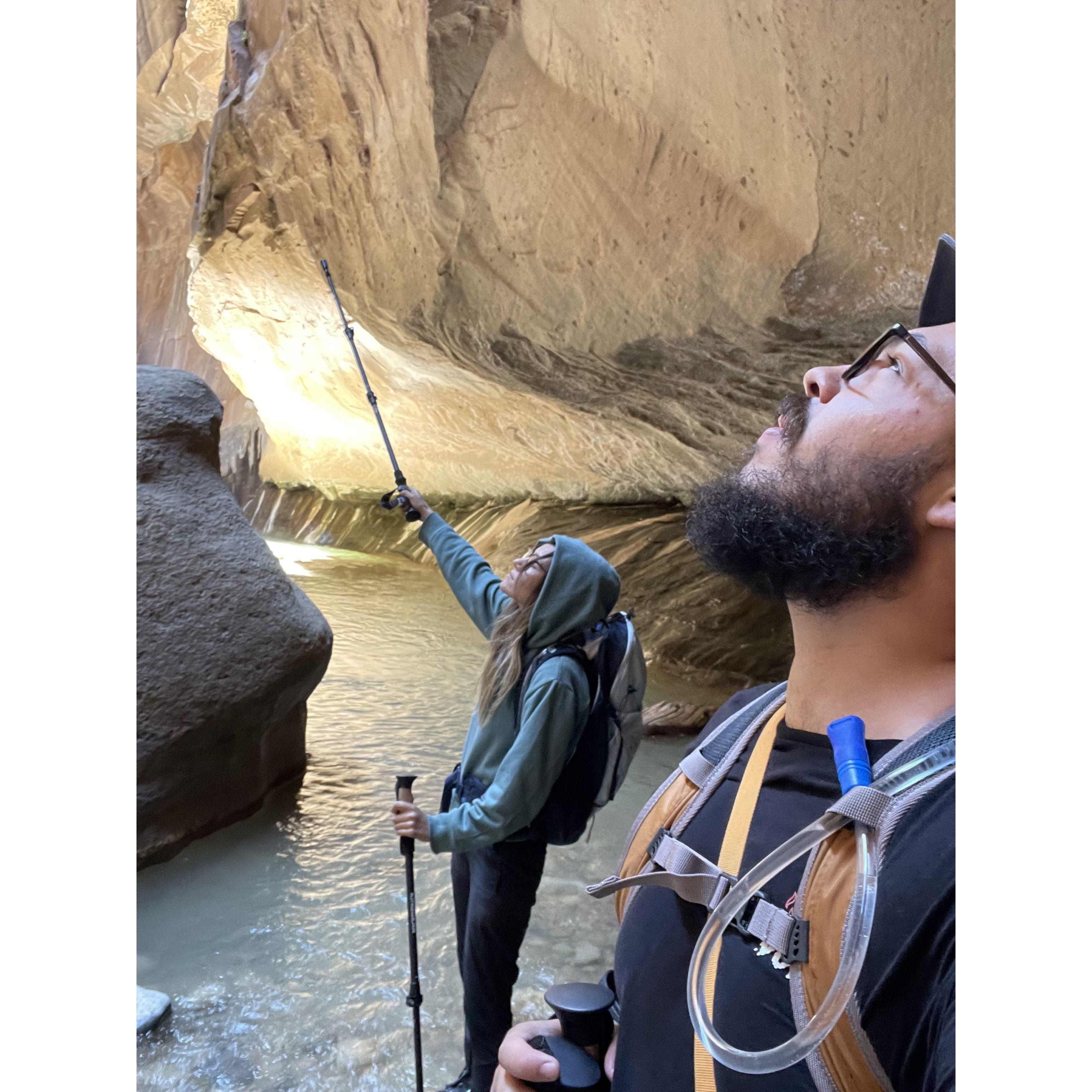 The Narrows at Zion National Park