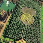 Dole Plantation