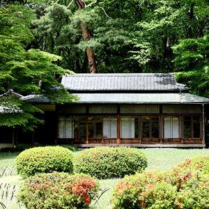 Meiji Shrine Gardens