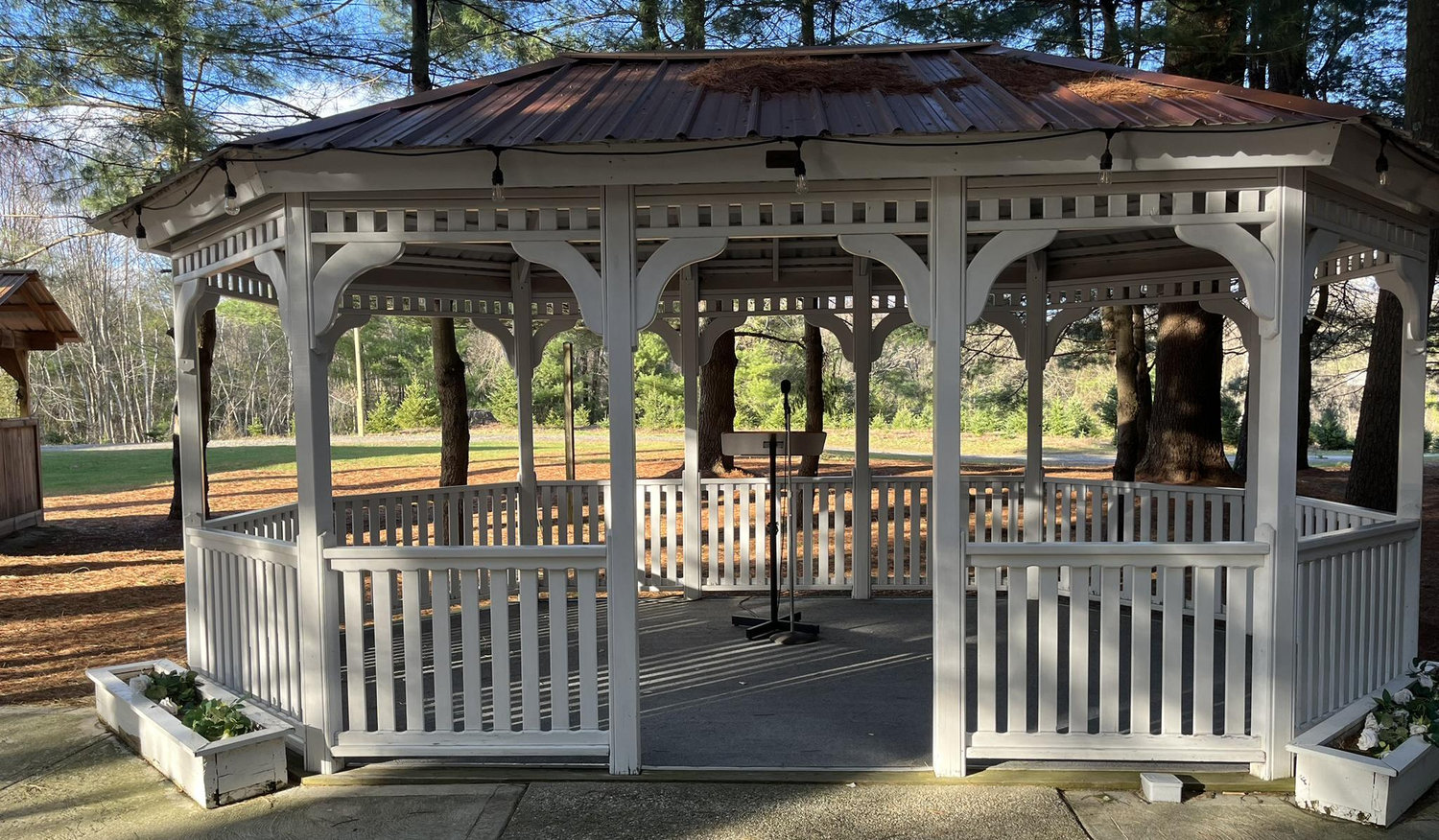 The Wedding Website of Kyle Kallgren and Cady Stevens