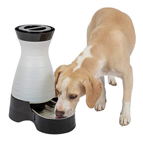 PetSafe Healthy Pet Water Station Dog and Cat Water System with Stainless Steel Bowl