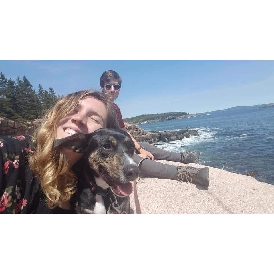 Bar Harbor Maine with Charlie!