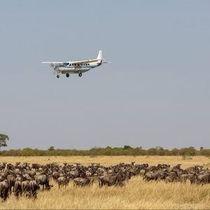 Flights to Africa - Honeymoon fund