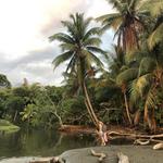 Playa Ventanas