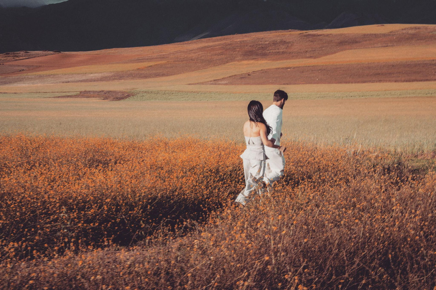 The Wedding Website of Lexis Zeidan and Andrew Hayworth