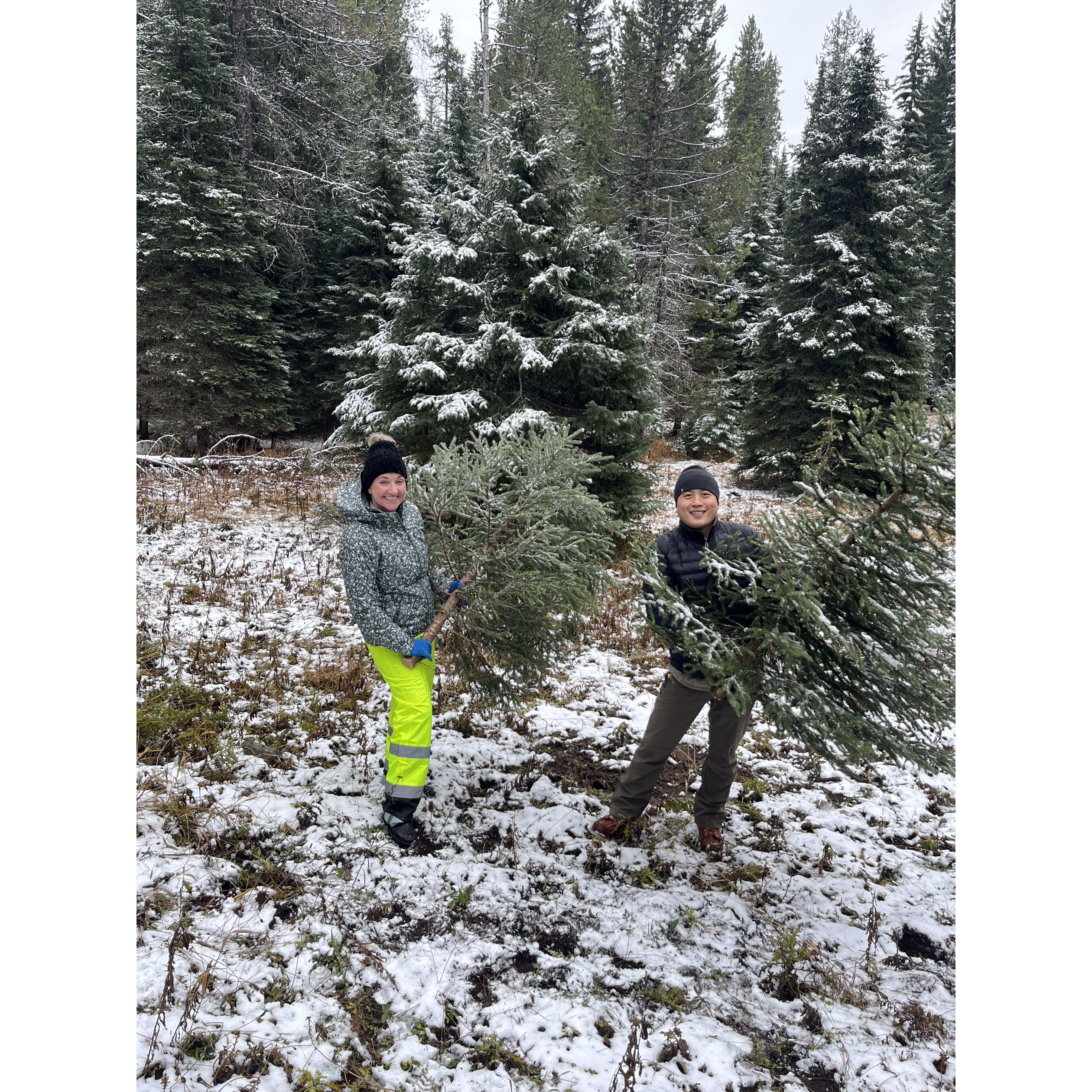 Annual trip to Mt. Hood Forest to cut down our Christmas Tree