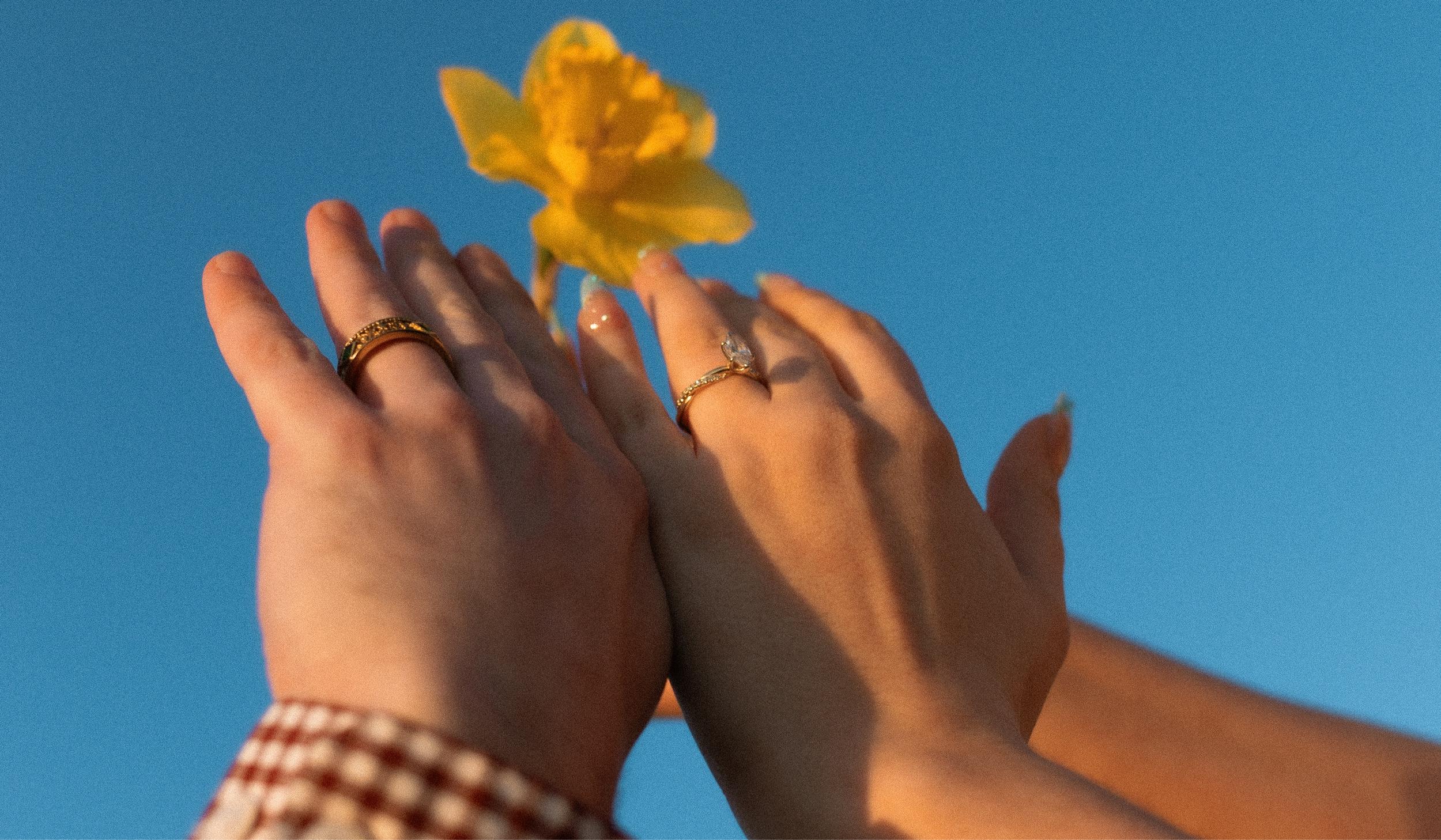 The Wedding Website of Lauren O’Connor and Joshua Manson