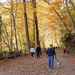 Wissahickon Valley Park