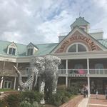 Virginia Zoo