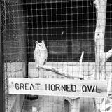 Oxbow Park & Zollman Zoo