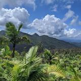 El Yunque National Forest