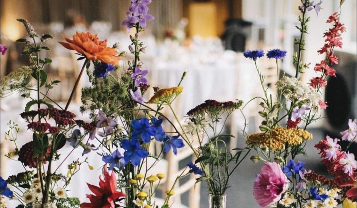 The Wedding Website of Destiny Marie Essary and Robert Hunter Lynam