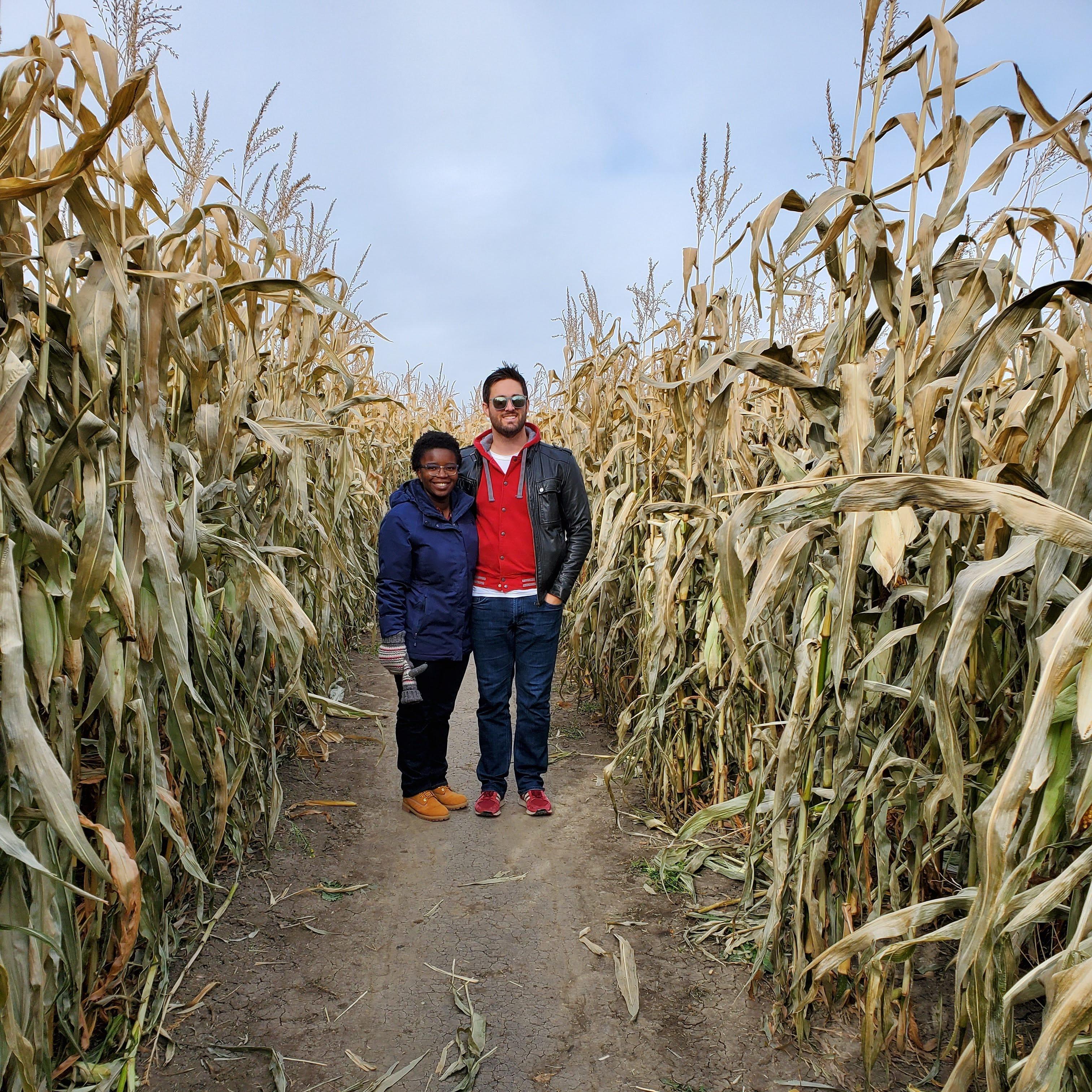 Lost in the corn maze