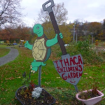 Cass Park