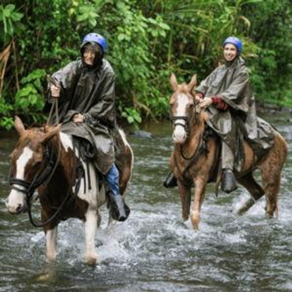 Horseback Riding to La Fortuna Waterfall