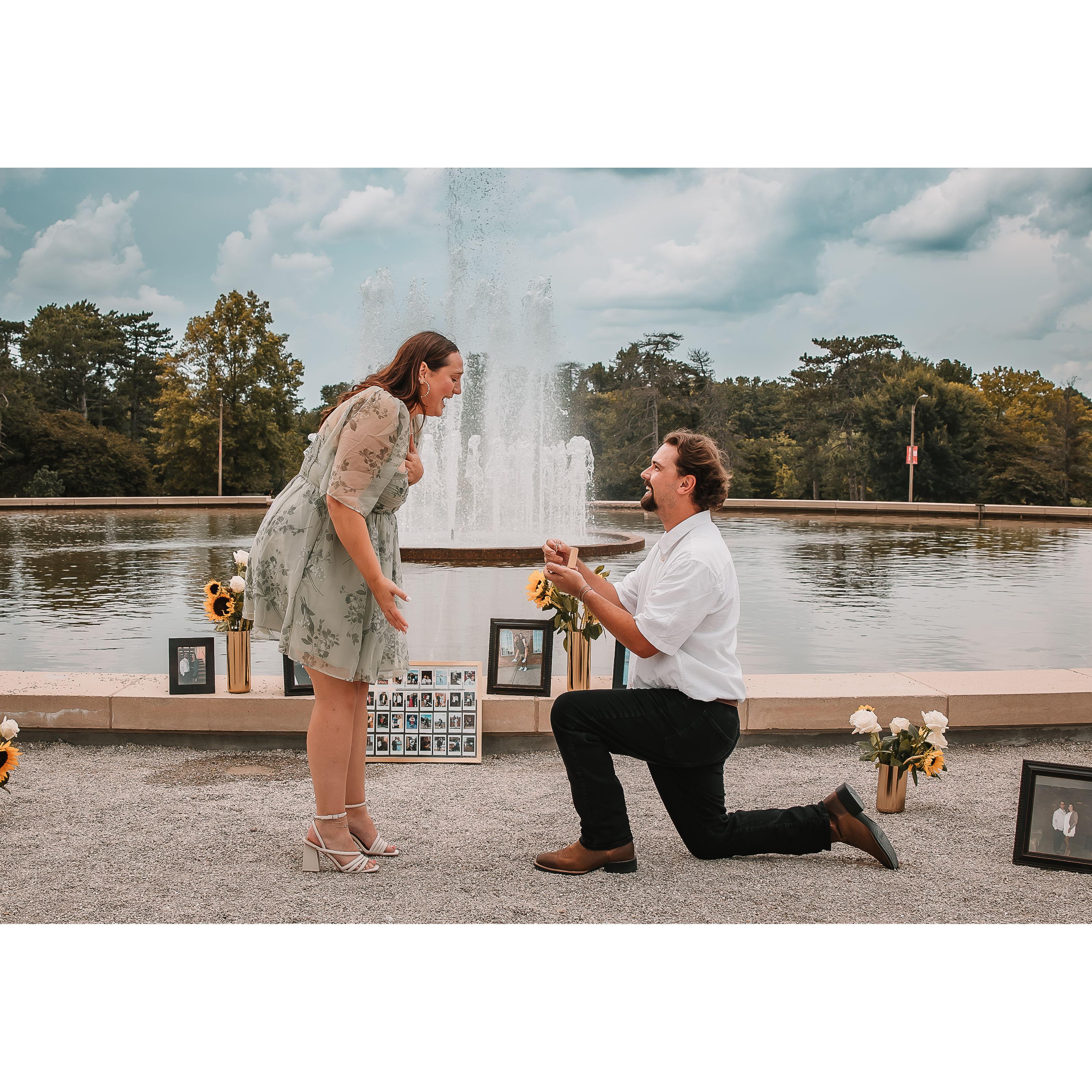 THE PROPOSAL!