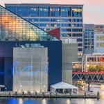 Baltimore Aquarium