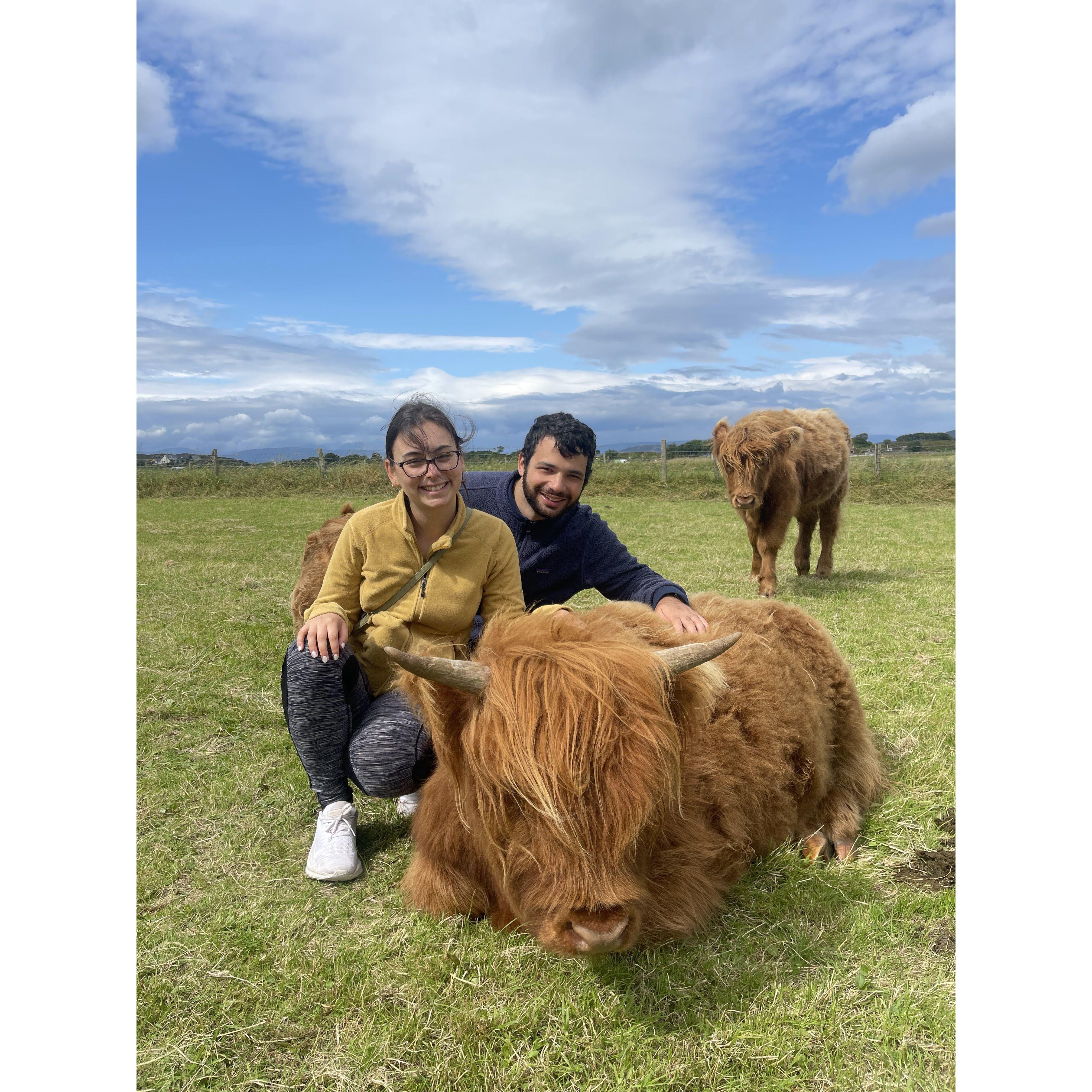 Here we are with Kenza (just kidding). Meeting some Highland Cows in Scotland.