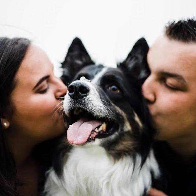 3 javier, 2020
Nous nous sommes fiancés! Notre belle petite famille… avec le beau HOWIE!