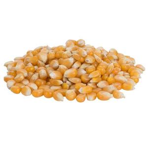 Reist 50 lb. HI-POP Organic Mushroom Popcorn Kernels