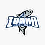 Steelheads Hockey Team