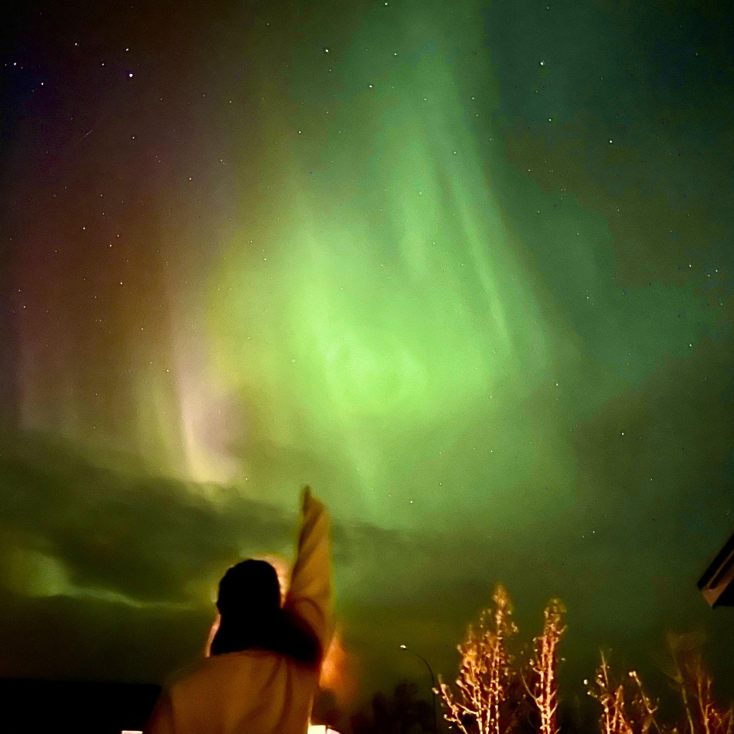 Northern lights sighting in Iceland!