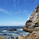 Morro Bay State Park