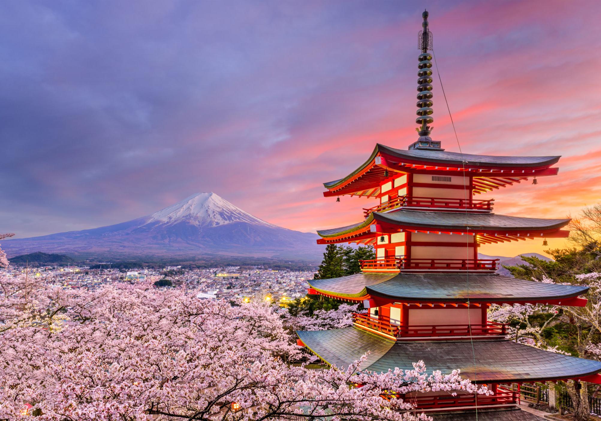 Japan Honeymoon Fund