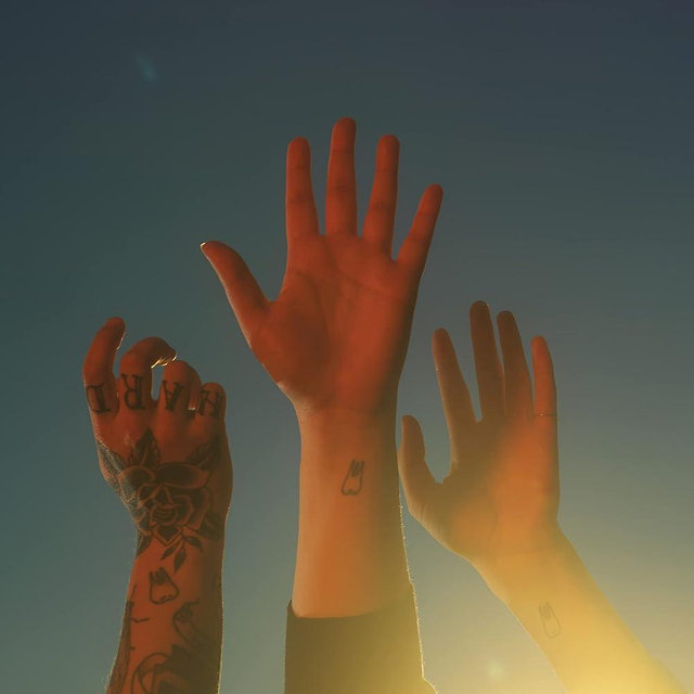 the record[LP]