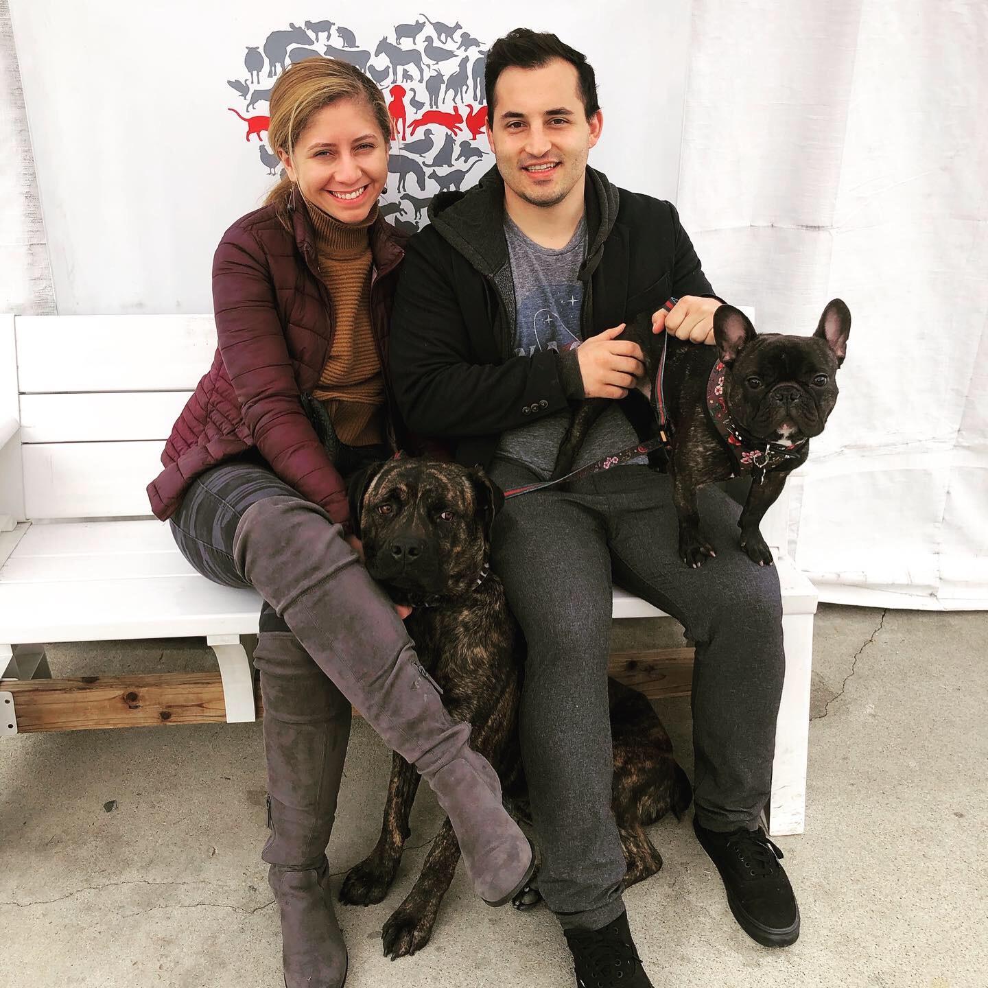 The adoption of Dino! 2019