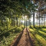 Biking and Walking Trails