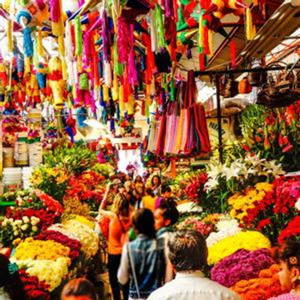 Honeymoon Market Fund